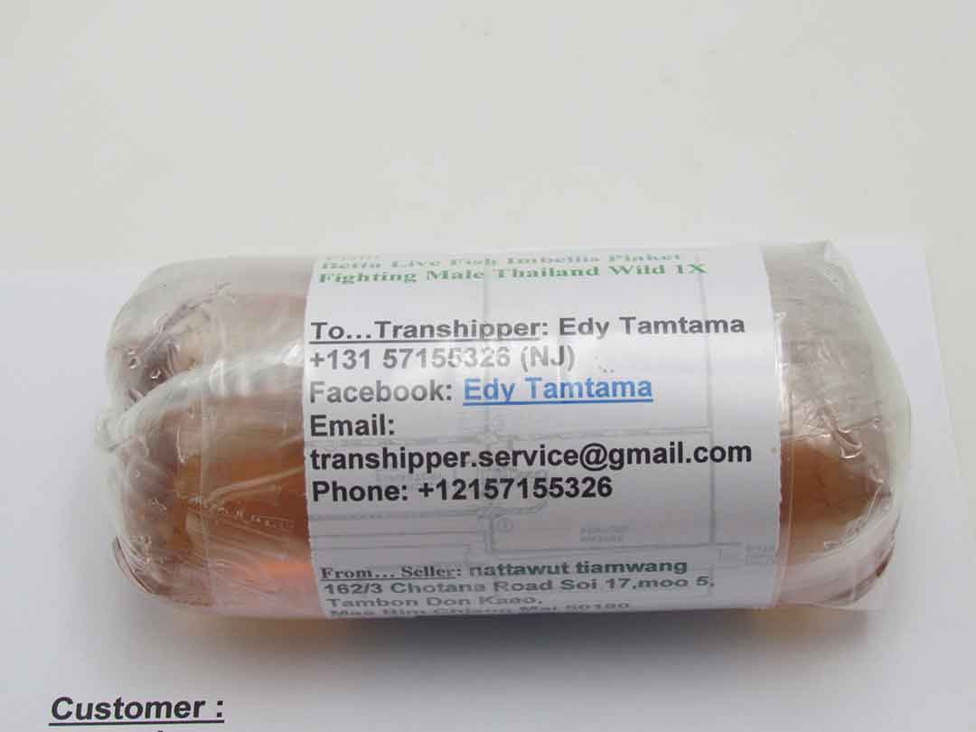 Label addressed to trans-shipper Edy Tamtama